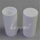 60 de“ Gesinterde Microporous PTFE-Filters van het Buizenstelsel30mpa Polyethyleen